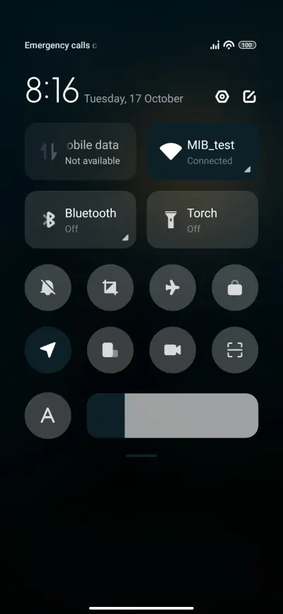 Branches - Screenshot 5