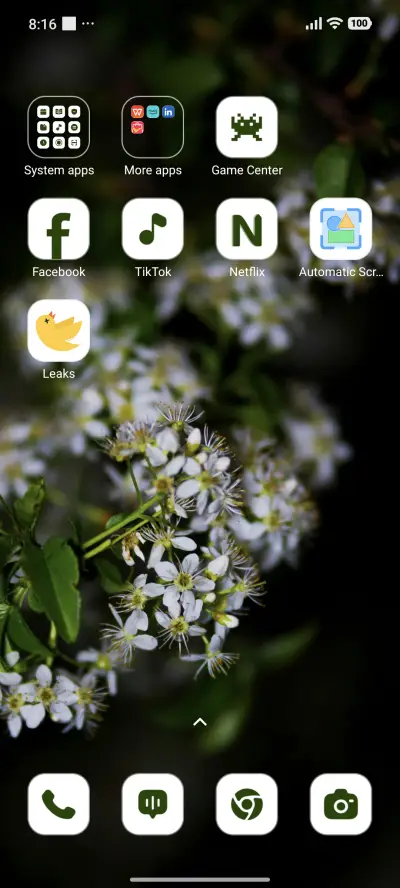 Tassel Bloom - Screenshot 3