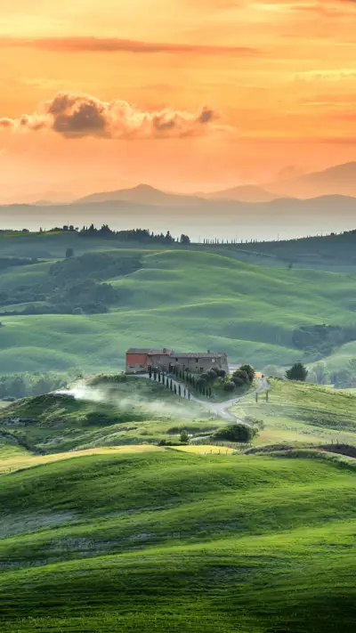Tuscany Summer Scenery