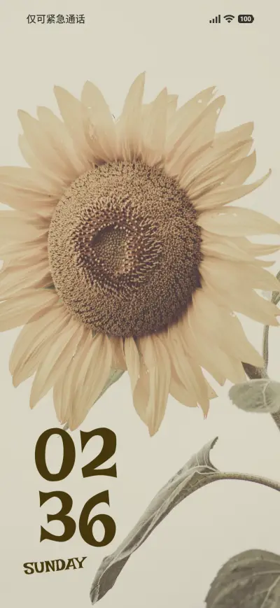 Sunflower Glow - Screenshot 1