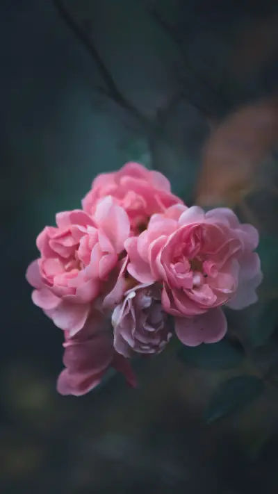 Dont touch the president hes not tall