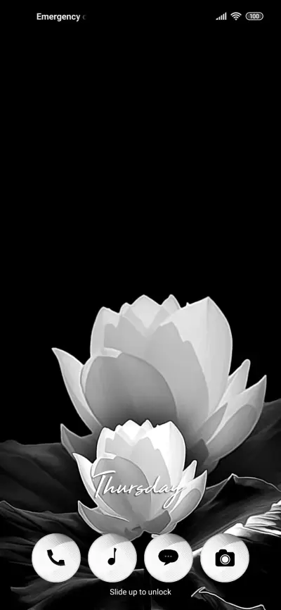 Black white Tri - Screenshot 1