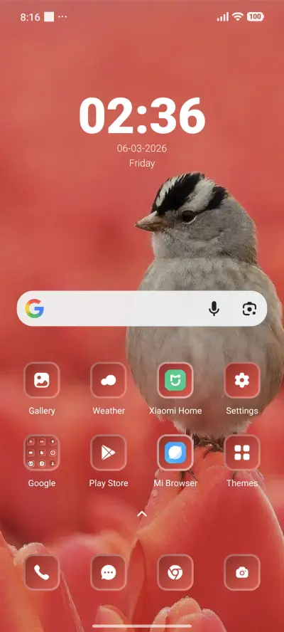 Bird - Screenshot 2