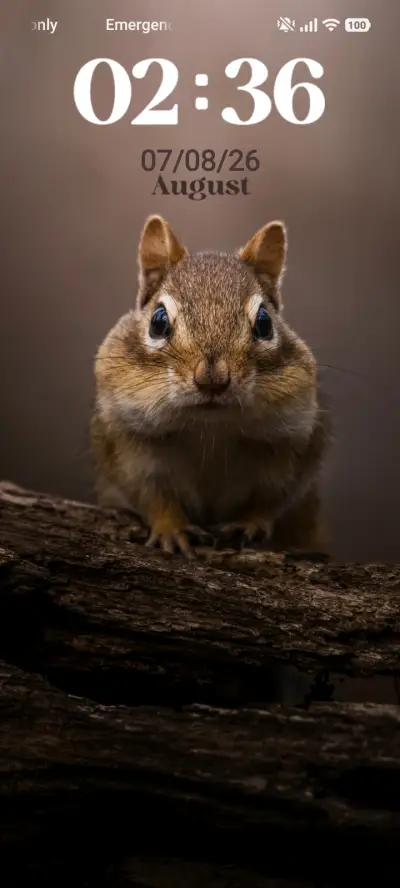 Cute Squirrel THEME for Xiaomi MIUI HyperOS