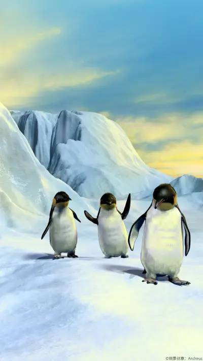 结伴企鹅—锐景创意