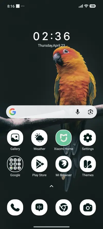 Sunset Parrot - Screenshot 2