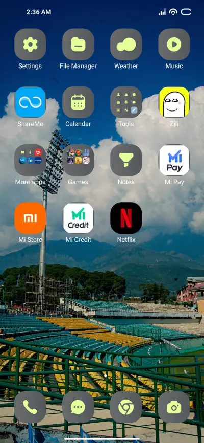 Stadium Cricket - Screenshot 3