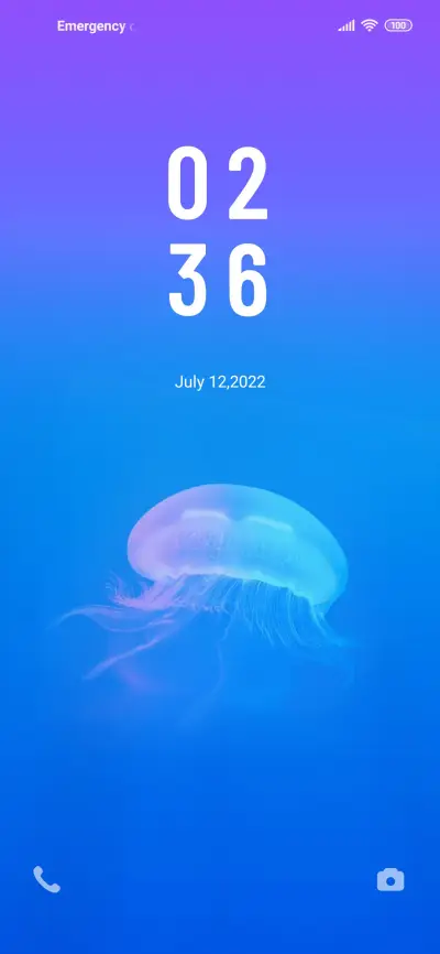 jellyfish