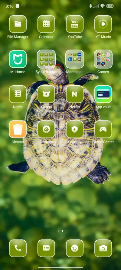 Brown Turtle - Screenshot 3