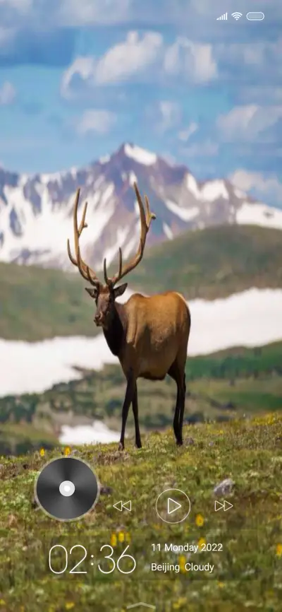 Wildlife nine - Screenshot 1