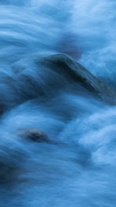 international_nature (11)