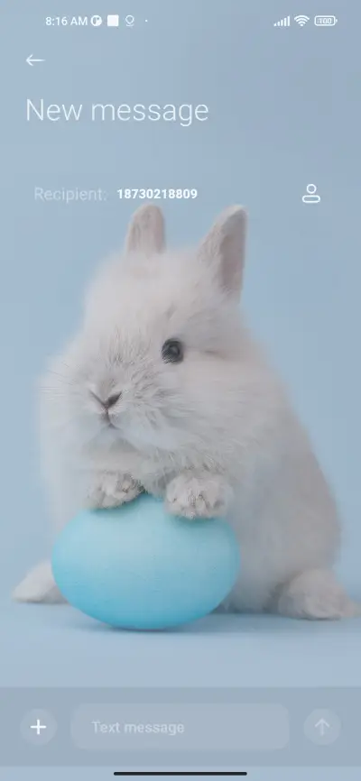 Cute rabbit - Screenshot 8