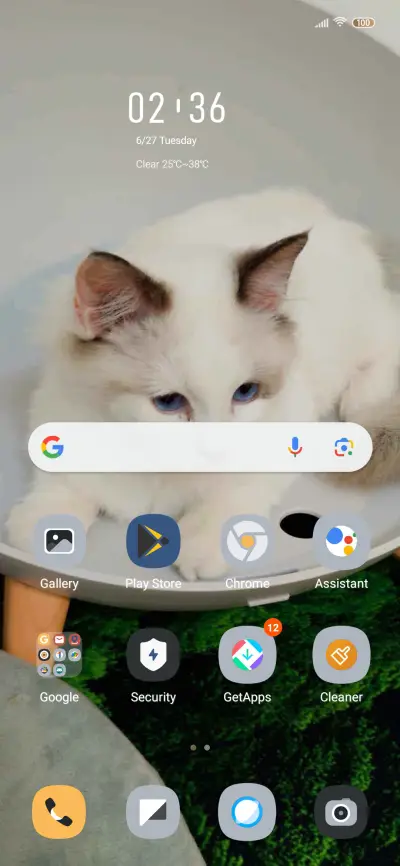 Lazy Cat - Screenshot 2