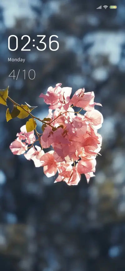 Spring sun - Screenshot 1