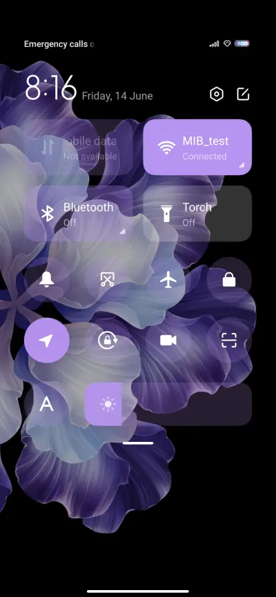 Blossoms - Screenshot 5