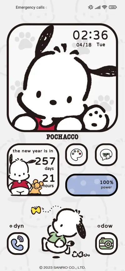 Pochacco big face