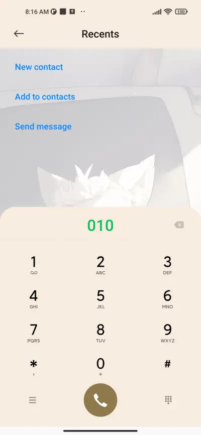 Handsome Cat - Screenshot 6