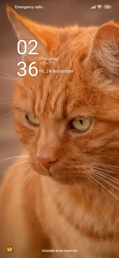Orange Cat - Screenshot 1