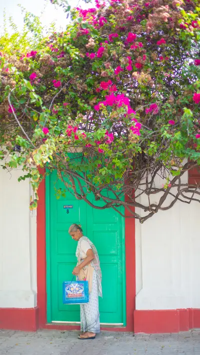 international_people (1)