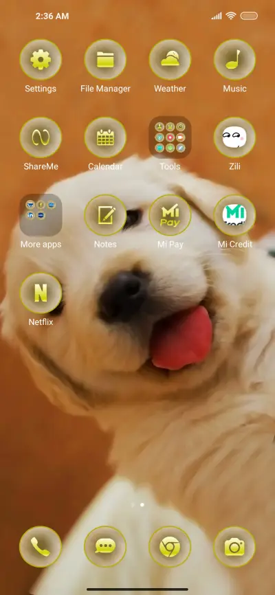 Cute Pup Qo - Screenshot 3