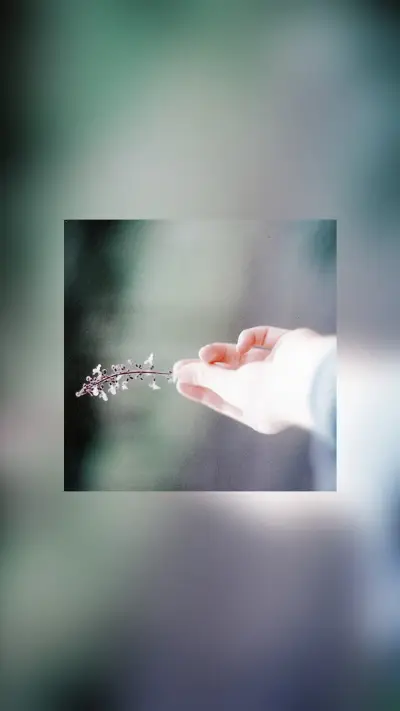 唯美朦胧 (2) - Screenshot 1