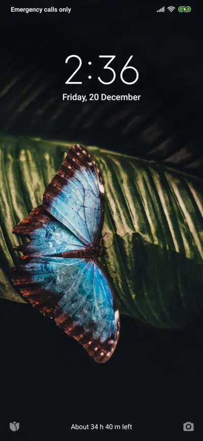 Blue Butterfly - Screenshot 1