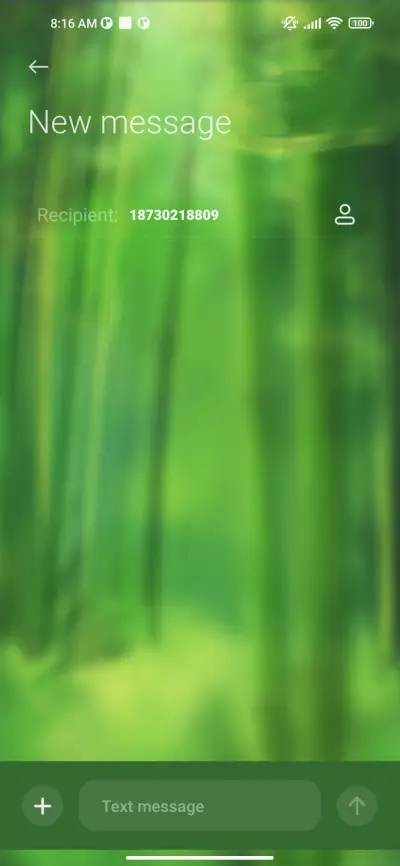 Zen+green+bamboo - Screenshot 8