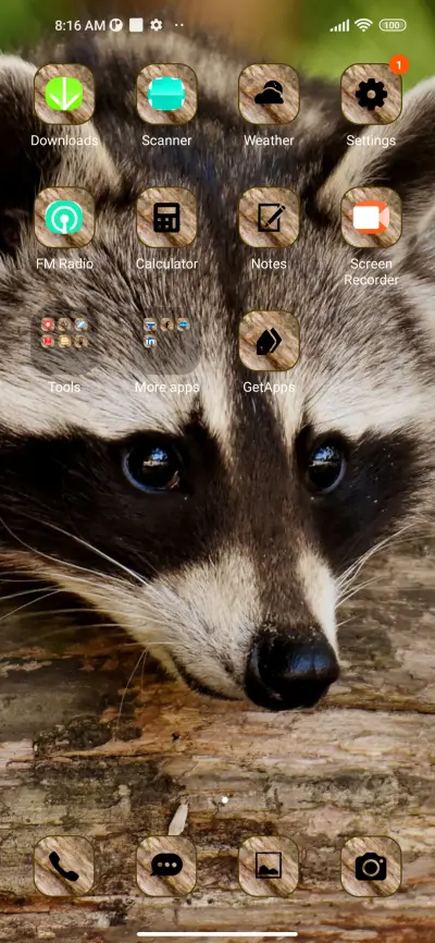 wildlife raccoon - Screenshot 3
