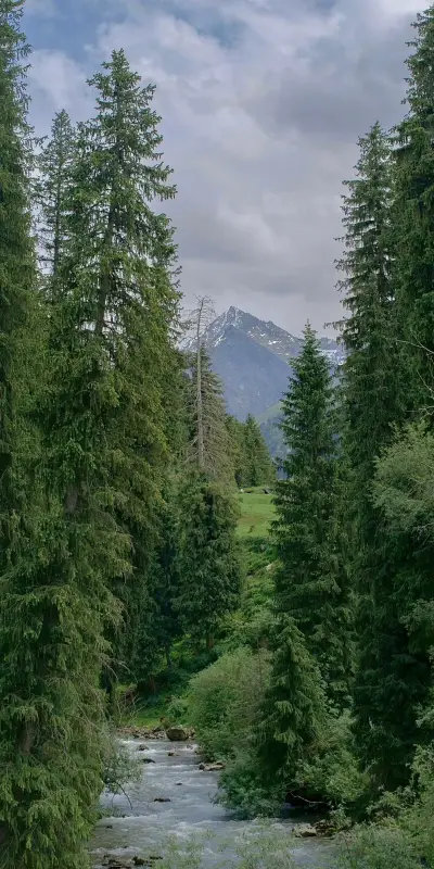 Seeking the World7.jpg - Screenshot 1