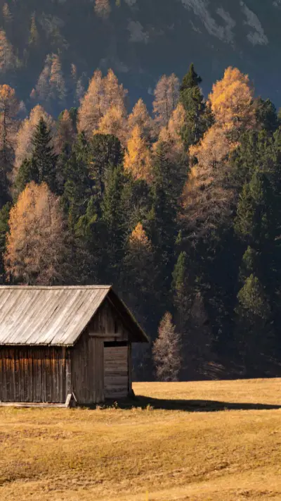 Autumn scenery - Screenshot 1