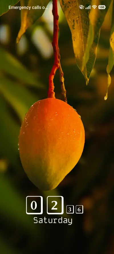 Tropical Dew THEME for Xiaomi MIUI HyperOS