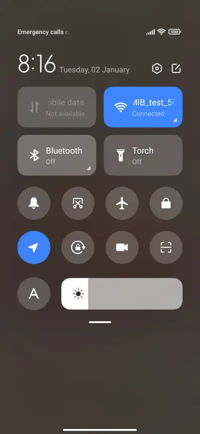 Plum Near Window - Screenshot 5