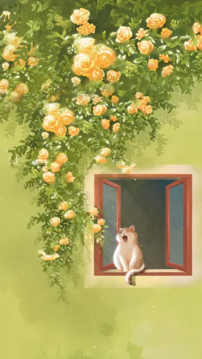 Cats are dust with light