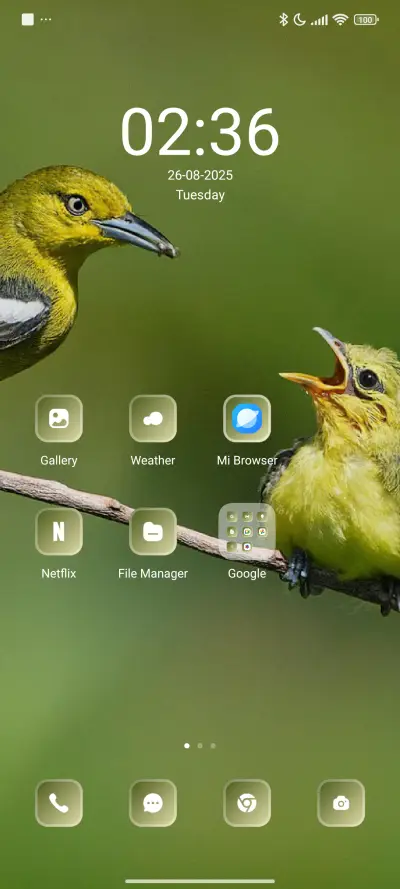 Birds Love - Screenshot 2