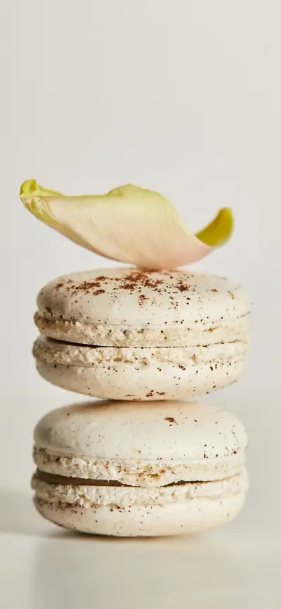 Beautiful Macron-PAIXIN