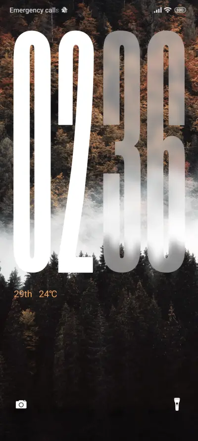 Autumn pine forest - Screenshot 1