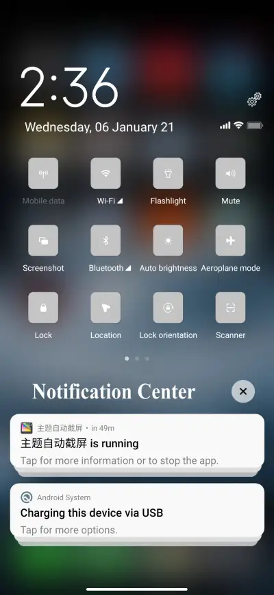 iOS 14.3.6 Pro - Screenshot 5