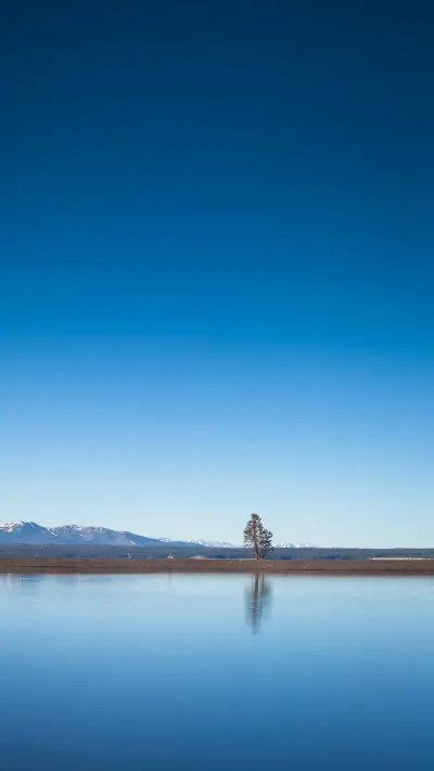A small peninsula sticking out from Yellowstone Lake