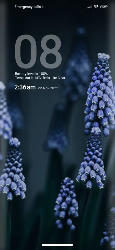 Flower_style - Screenshot 1