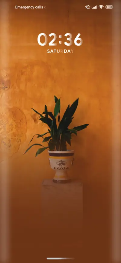 Still Art - Screenshot 1