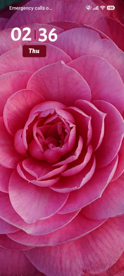 Pink Bloom THEME for Xiaomi MIUI HyperOS