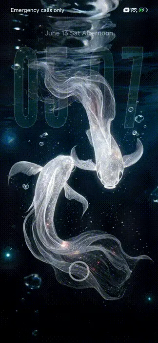Fish THEME for Xiaomi MIUI HyperOS