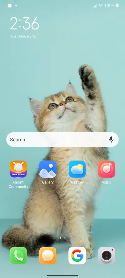 Sweet Cat - Screenshot 2