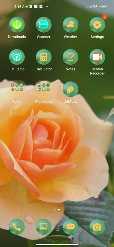 flower orange - Screenshot 3