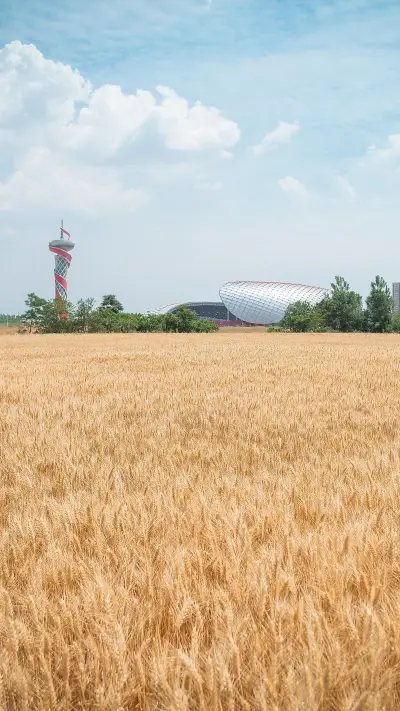 What does it mean to live in Bengbu 89