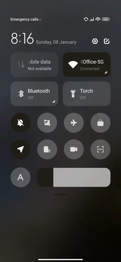 seagull - Screenshot 5