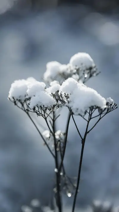 Will it be colder this winter 19