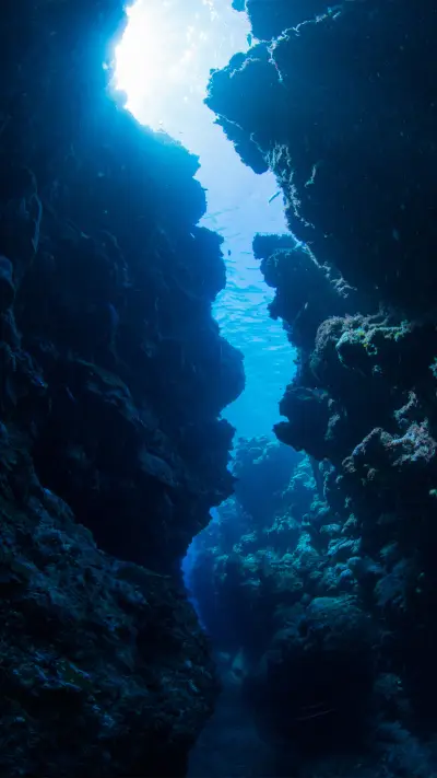 beautiful wallpapers-01