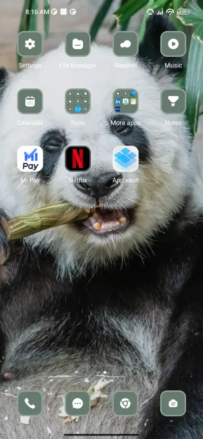 panda - Screenshot 3