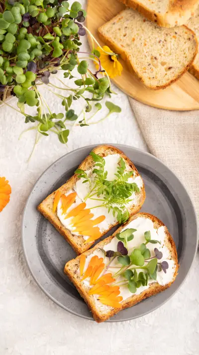 Breakfast revitalizes day 2 - Screenshot 1